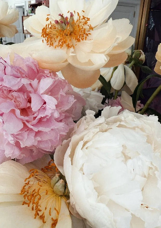 May Recap: Finding Stillness Before the Summer Rush - AndBloom