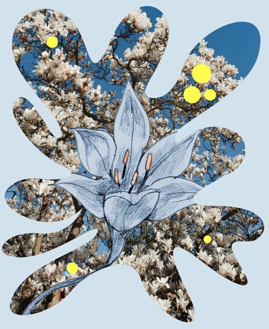 The Beautiful, Messy Art of Setting Boundaries - AndBloom