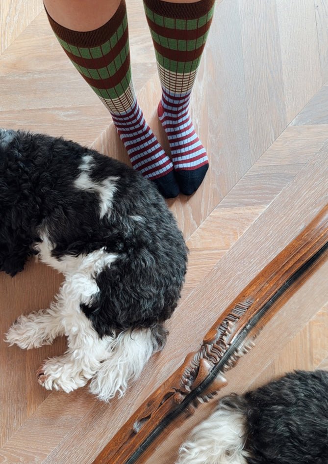 Classic Spark - AndBloom