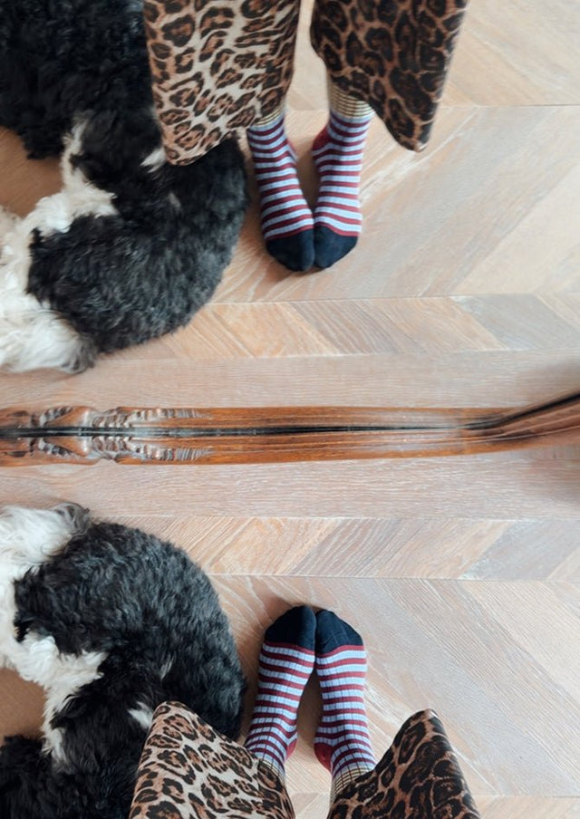 Classic Spark - AndBloom