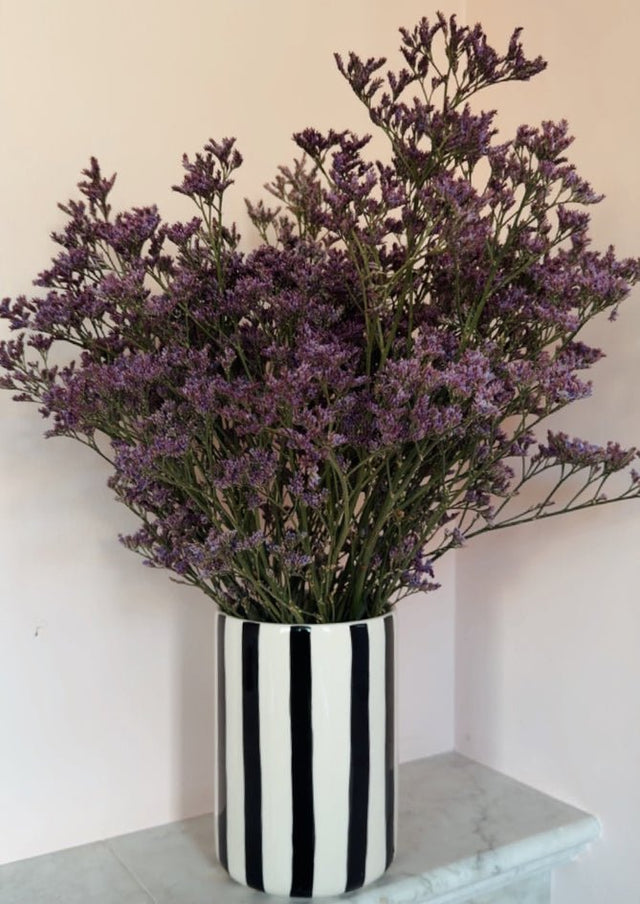 Stripe Aura - AndBloom