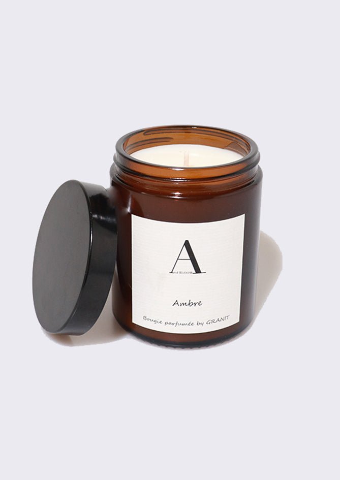 The Ambre - AndBloom