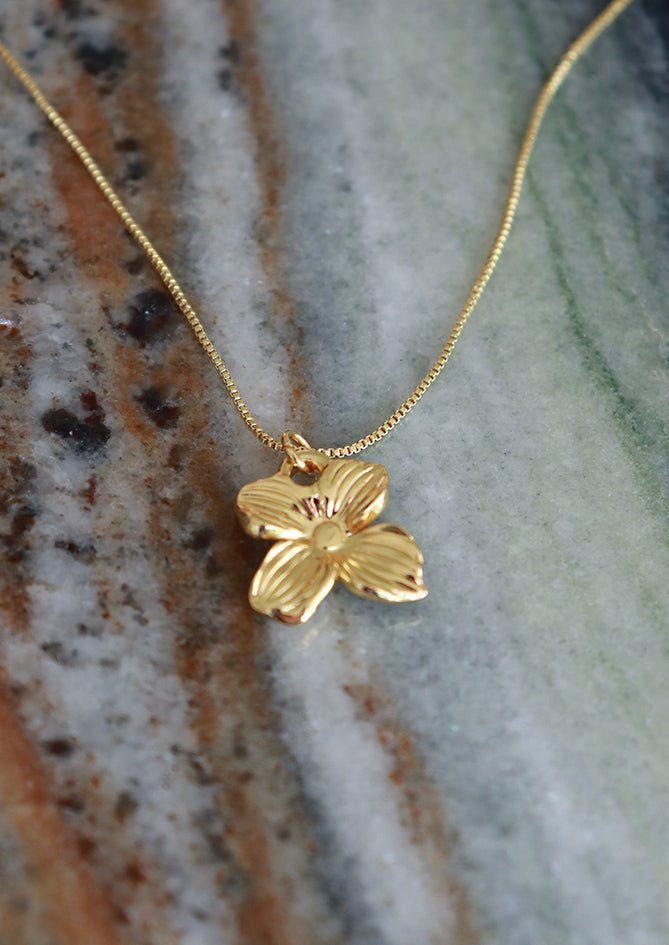 The Daisy - AndBloom