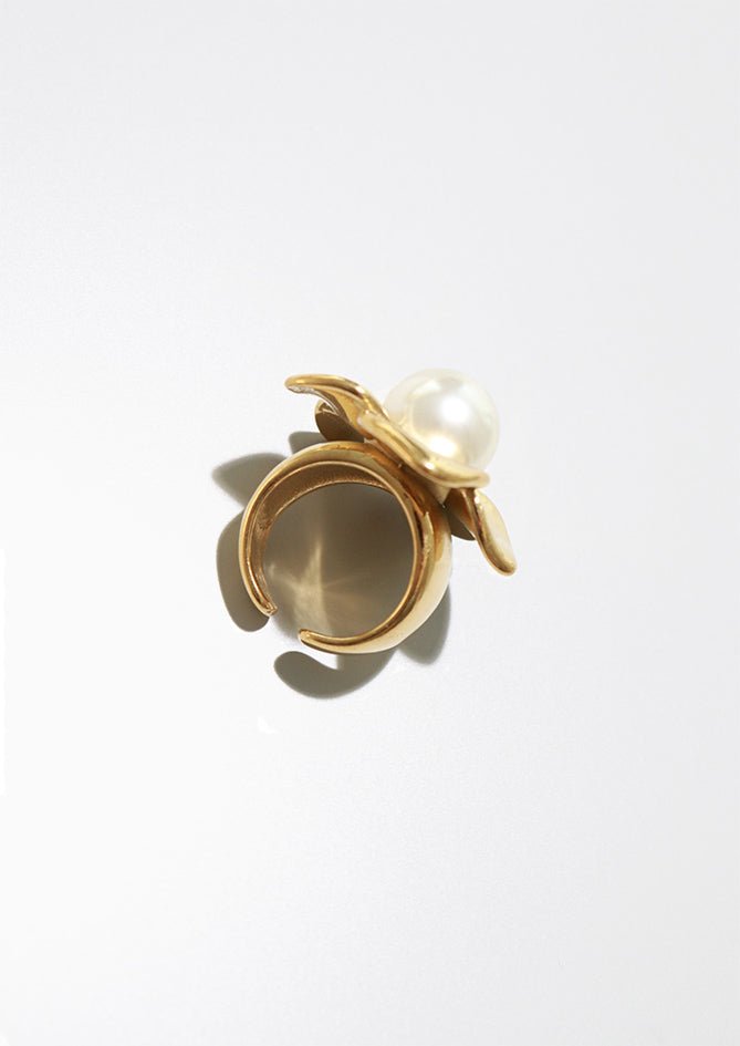 The Dream - AndBloom