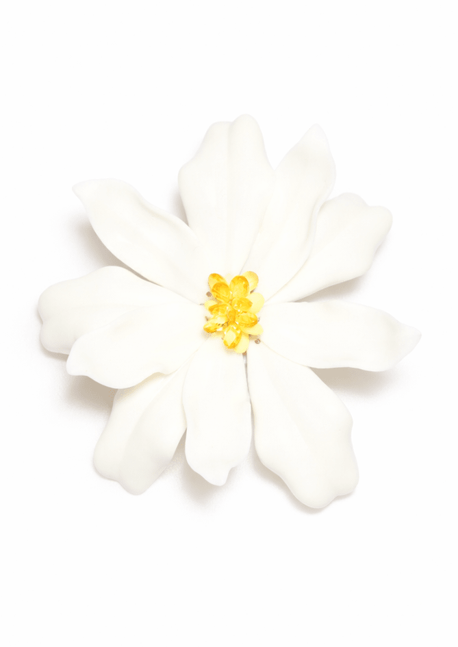 The Lily - AndBloom