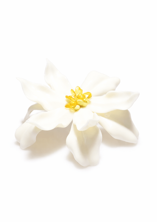 The Lily - AndBloom