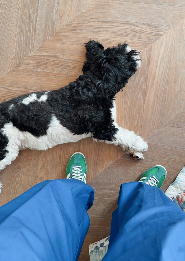 Street Flow - AndBloom