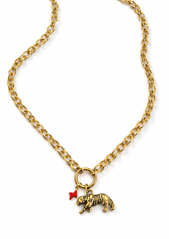 Wild Spark - AndBloom