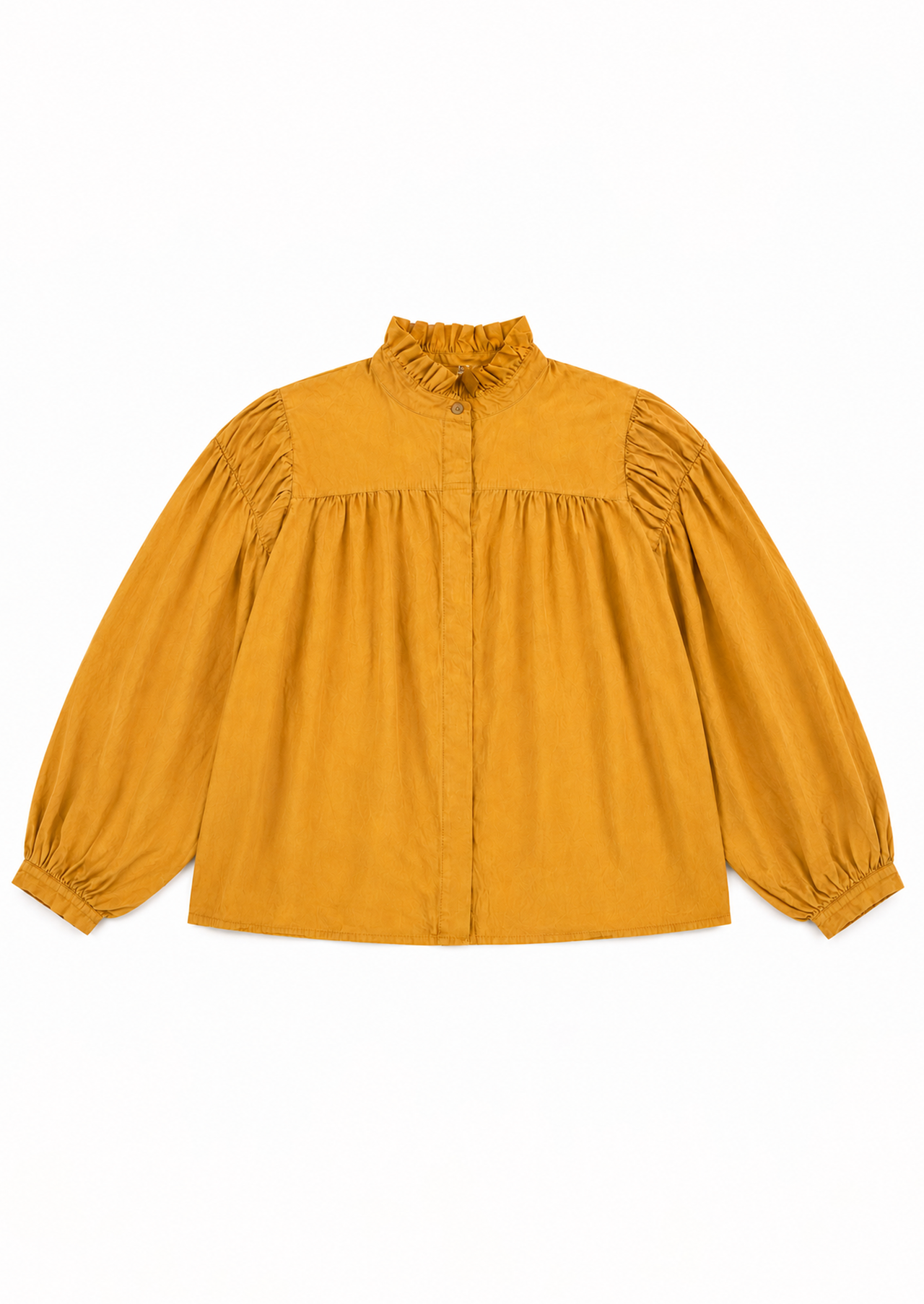 Warm Ochre